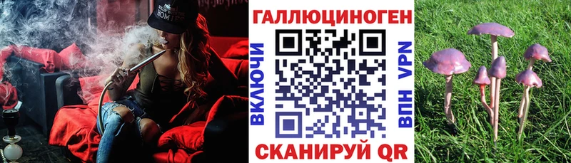 Галлюциногенные грибы MAGIC MUSHROOMS  Великий Новгород 